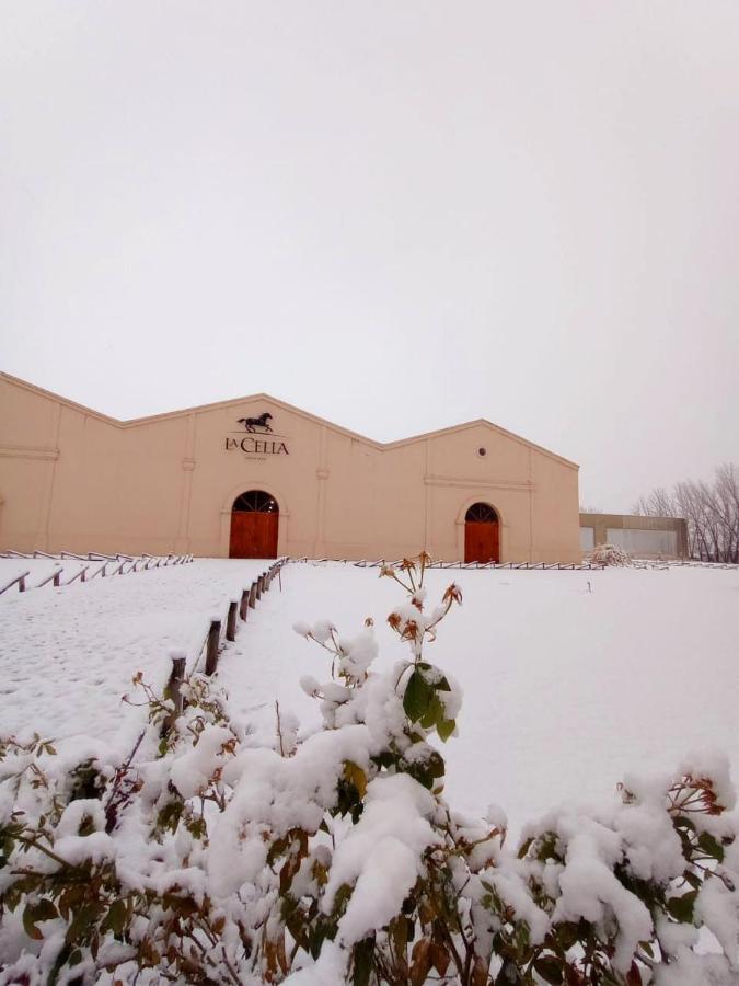 Posada La Celia Eugenio Bustos Dış mekan fotoğraf